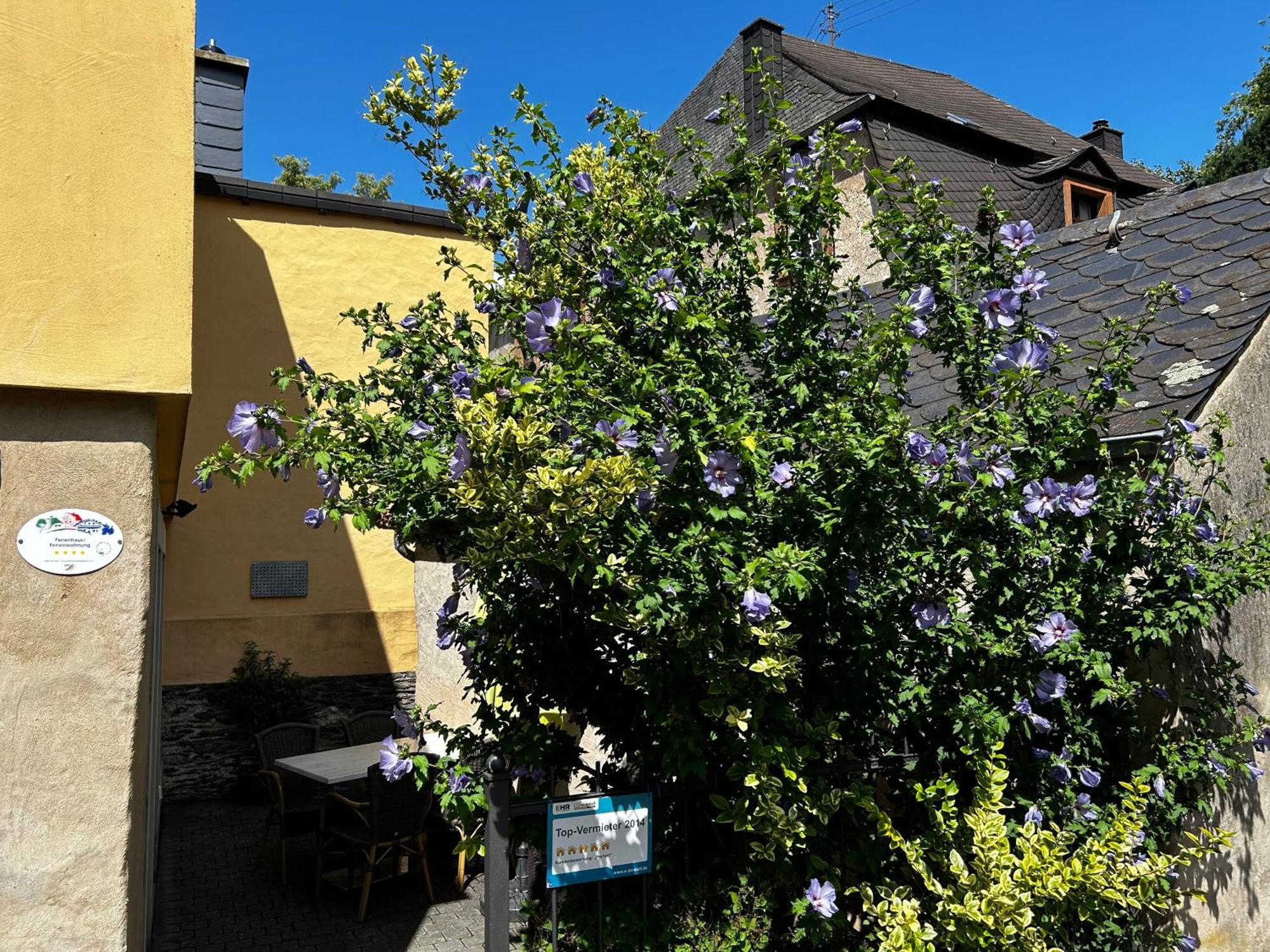 Ferienhaus Ausonius ノイマゲン・ダオン エクステリア 写真